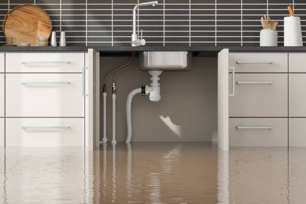 Best Water damage restoration process  in USA